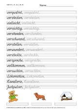 DSS_2S_Bu_v_Nr_08.pdf